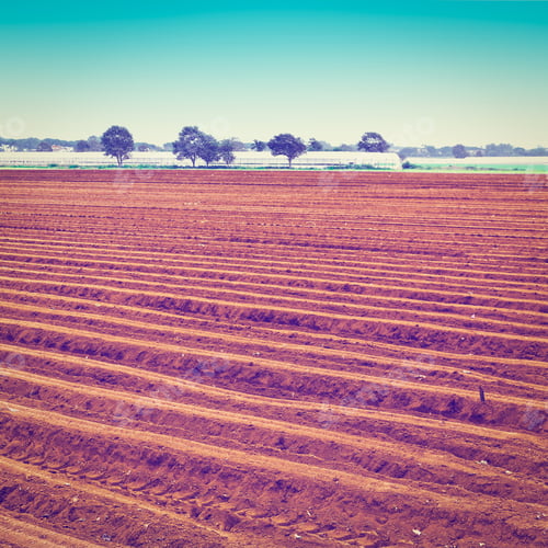 Preview: Plowed Fields On The Background Of Greenhouse In Italy, Instagram Effect