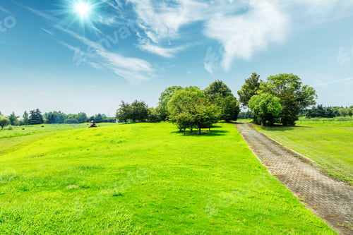 Preview: Field Of Green Grass And Blue Sky In Summer Day