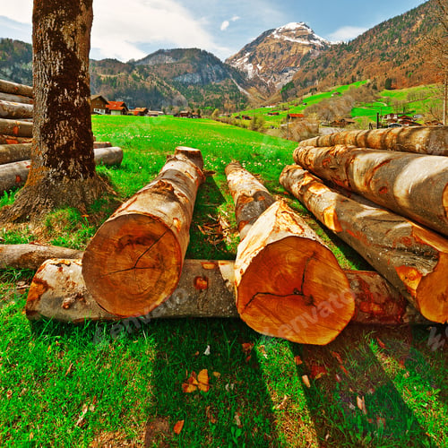 Preview: Sawed Firewood Dropped High Up In The Swiss Alps