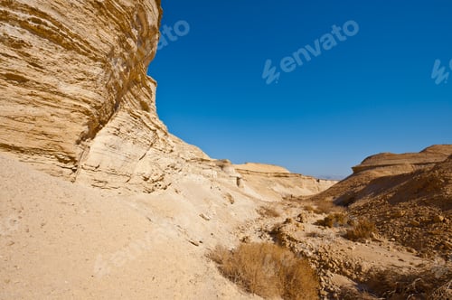 Preview: Dry Riverbed In The Judean Desert