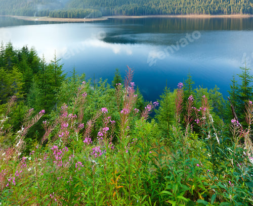 Preview: Mountain Lake Vidra Summer Evening View (Near Romania Transalpina Road)