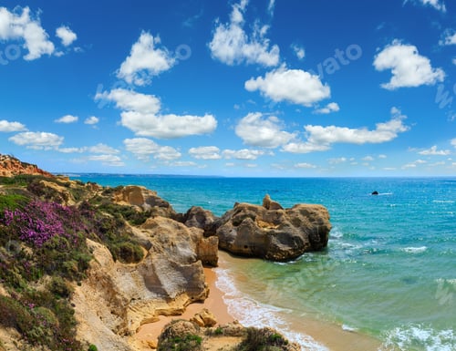 Preview: Summer Blossoming Atlantic Rocky Coast View With Purple Flowers And Narrow Sandy Beach (Albufeira