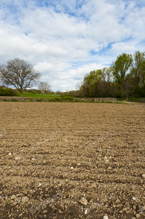 Preview: Plowed Sloping Hills Of Tuscany In The Spring. Rural Landscape With Field Ready For Sowing