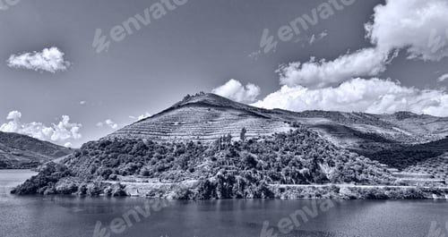 Preview: Vineyards In The Valley Of The River Douro, Portugal, Retro Image Filtered Style