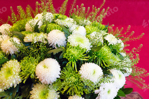 Preview: White - Green Chrysanthemum Summer Flowers Bouquet On Red