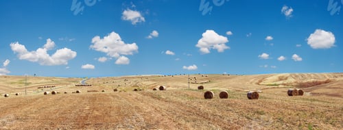 Preview: Beautiful Landscape Of Sicily Summer Countryside In Italy. Wheat Field With Haystacks. Four Shots