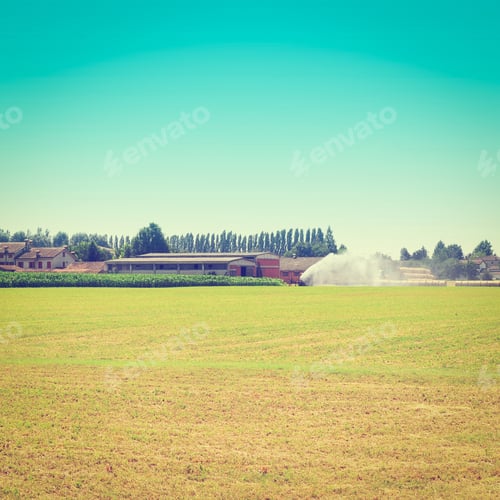 Preview: Farmhouses Surrounded By Fields Of Young Corn, Instagram Effect