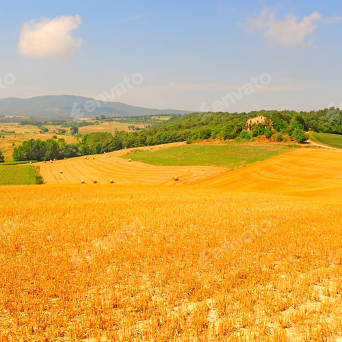 Preview: Tuscany Landscape With Hay Bales, Instagram Effect