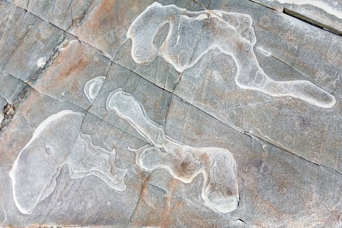 Preview: Stony Background Macro With Interesting Abstract Tracery.