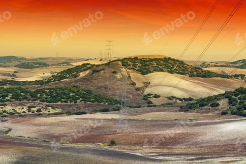 Preview: Olive Grove And Fields In Spain After Harvesting At Sunrise. Electrical Power Lines On Pylons In