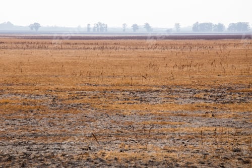 Preview: Donyana Natural Park In Huelva Andalusia Spain