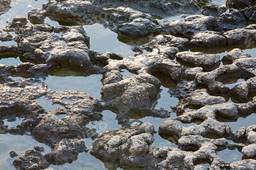 Preview: Stony Rough Coastline Surface With Small Pools