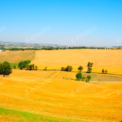 Preview: Farmhouse Surrounded By Sloping Meadows Of Tuscany