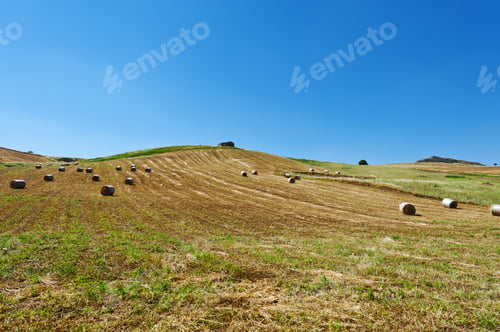 Preview: Landscape Of Sicily With Many Hay Bales