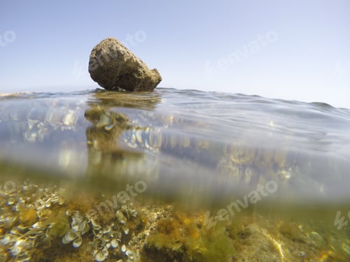 Preview: Mediterranean Underwater Seaweed Algae In Denia Alicante Spain