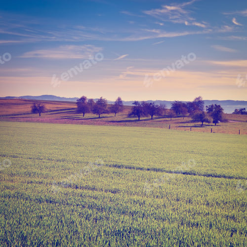 Preview: Pasture On The Background Of Alps In Switzerland, Sunset, Instagram Effect