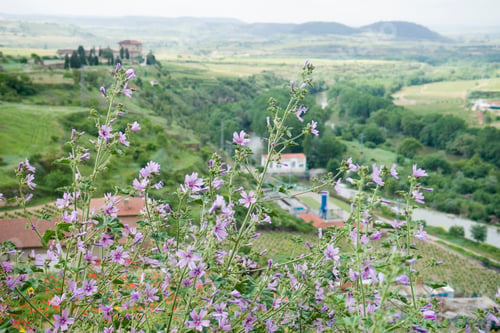 Preview: San Vicente De La Sonsierra In La Rioja Spain