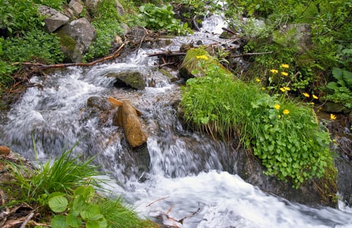 Preview: Summer Mountain Waterfall Among Vegetation