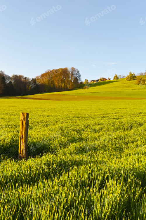 Preview: Swiss Farmhouse Surrounded By Forests And Plowed Fields Early In The Morning. Agriculture In