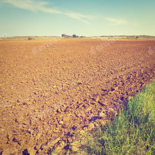 Preview: Poor Sandy Soil After The Harvest In Israel, Instagram Effect