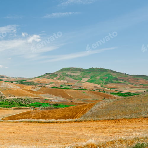 Preview: Stubble Fields On The Hills Of Sicily