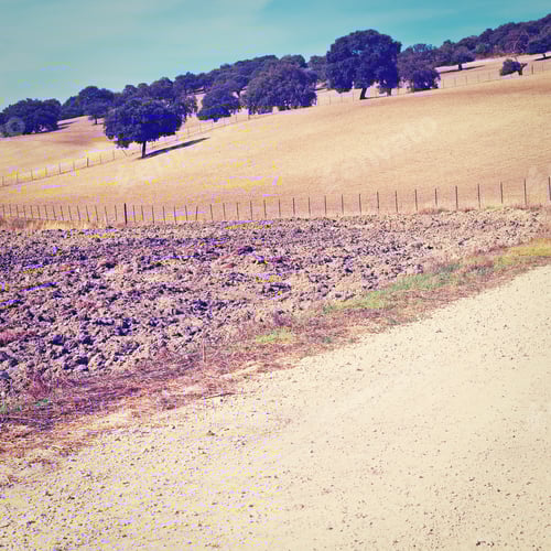 Preview: Dirt Road Between Plowed Sloping Hills Of Spain In The Autumn