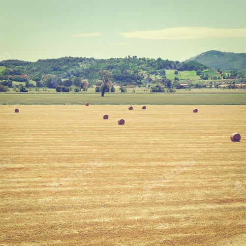Preview: Landscape With Many Hay Bales In Italy, Instagram Effect
