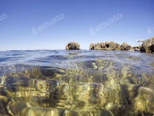 Preview: Mediterranean Underwater Seaweed Algae In Denia Javea Alicante Spain