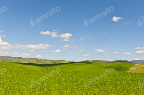 Preview: Italian Landscape With Meadows Early In The Spring. Agriculture In Italy, Fields, Pastures And