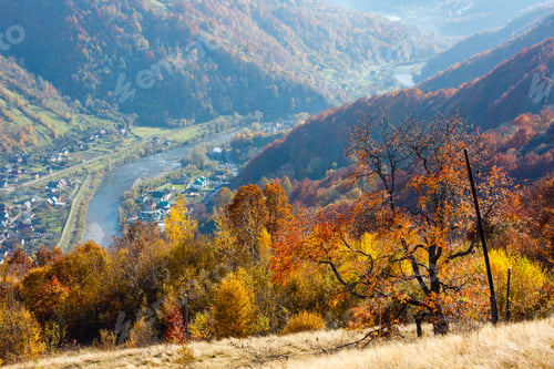 Preview: Autumn Carpathian Mountains Landscape With Multicolored Yellow-Orange-Red-Brown Trees On Slope And