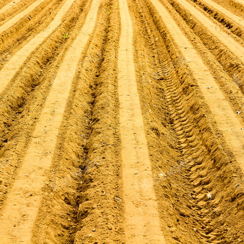 Preview: Plowed Field As Natural Background