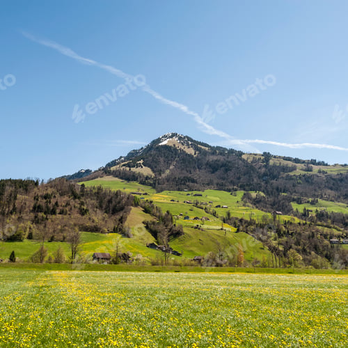 Preview: Agriculture In Switzerland, Flowering Meadow And Pastures. Swiss Village Surrounded By Fields Of