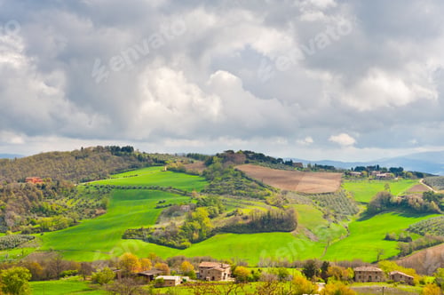 Preview: Olive Groves On The Slopes Of The Apennine Mountains, Italy