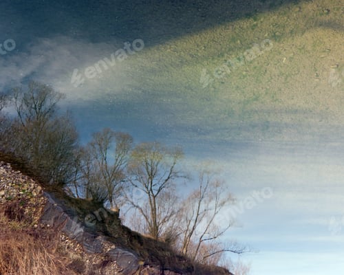 Preview: Reverse (180 Degree Rotate) Water Reflection Of River Coastline And Spring Trees