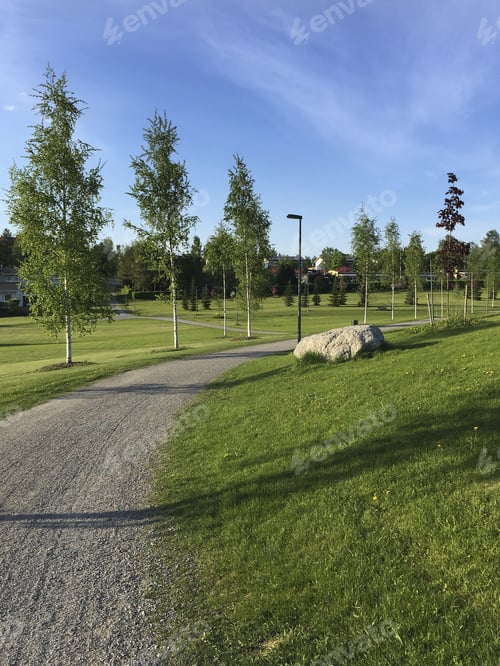 Preview: Walk In The Park. Image Of A Green Park On A Sunny Day.