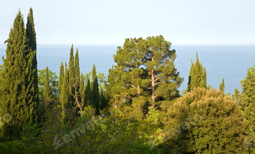 Preview: Spring Beautiful Old Park On Sea And Sky Background (Crimea, Ukraine)