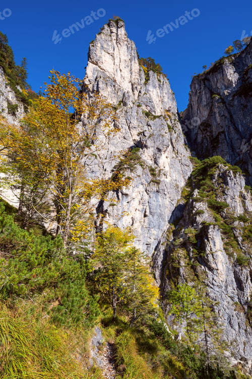 Preview: Sunny Idyllic Colorful Autumn Alpine Scene. Peaceful Rocky Mountain View From Hiking Path Near