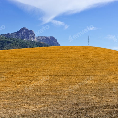 Preview: Sloping Hills Of Spain In The Autumn