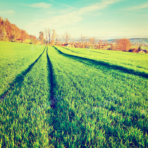Preview: Track Of Tractor In The Green Grass, Swiss Alps, Retro Effect