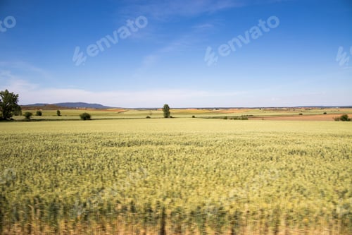 Preview: Castile Leon Landscape Soria Province Spain