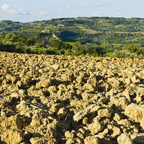 Preview: Plowed Hills Of Tuscany In The Autumn
