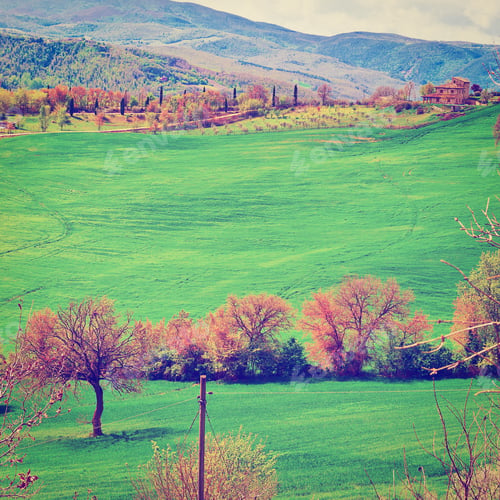 Preview: Green Sloping Meadows Of Tuscany, Instagram Effect
