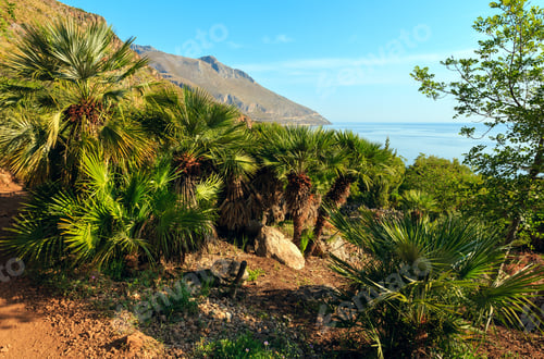 Preview: Paradise Sea Landscape From Coastline Trail Of Zingaro Nature Reserve Park, Between San Vito Lo