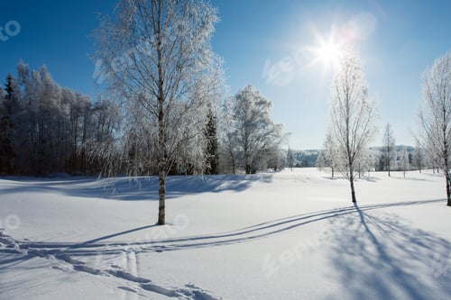 Preview: Beautiful Winter Wallpaper. Cold Wintry Scenery In Finland On A Sunny And Cold Morning. Frosty