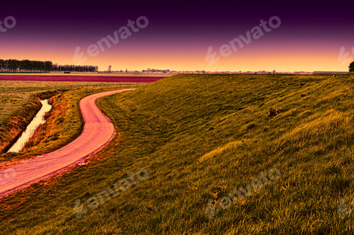 Preview: Agriculture On Land Reclaimed From The See In Netherlands At Sunset. Asphalt Road Along Protective