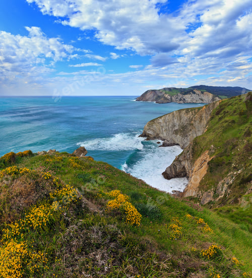 Preview: Summer Blossoming Ocean Coastline Scenery Near Gorliz Town, Biscay, Basque Country (Spain).