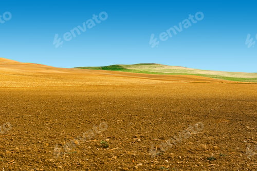 Preview: Olive Trees On The Plowed Sloping Hills Of Spain