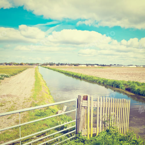 Preview: Irrigation Canal Between The Fields Of Tulips In Netherlands, Instagram Effect