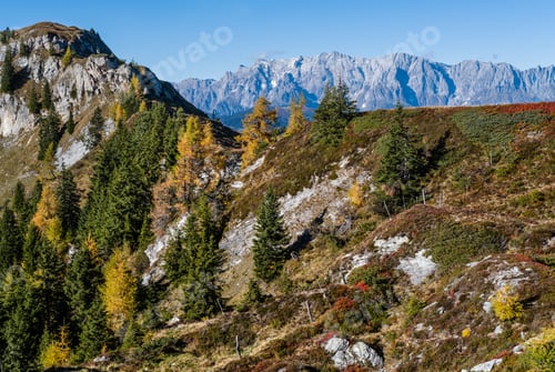 Preview: Sunny Idyllic Autumn Alpine Scene. Peaceful Alps Mountain View From Hiking Path From Dorfgastein To