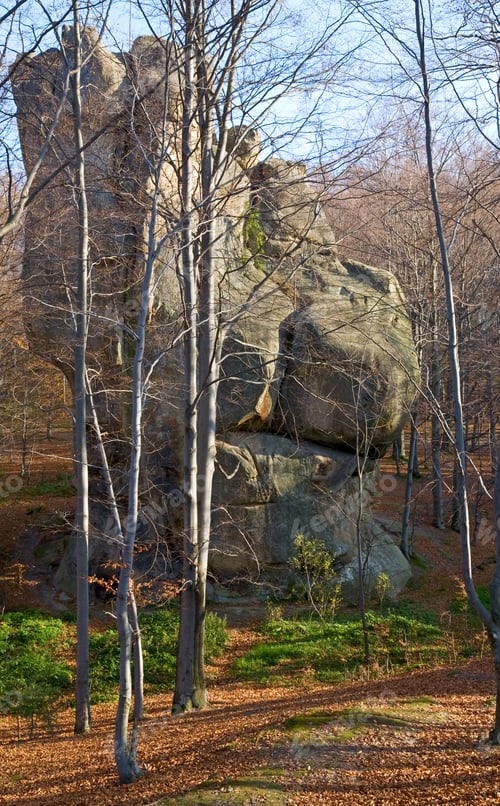 Preview: Large Lofty Stone In Autumn Forest ( "Skeli Dovbusha", Ivano-Frankovsk Region, Ukraine )
